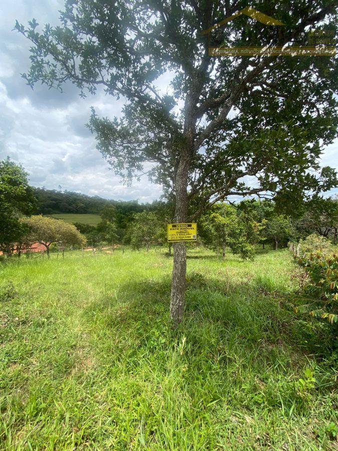 WhatsApp Image 2026-01-29 at 20.11.46 (1).jpeg